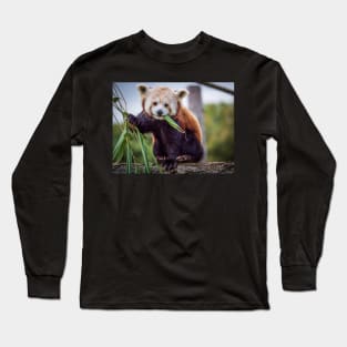 Red Panda Long Sleeve T-Shirt